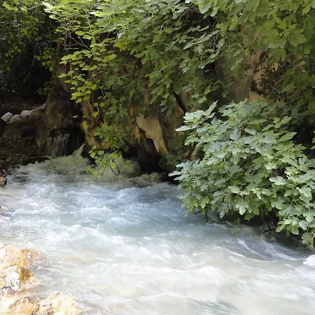 Uygar * Saklikent